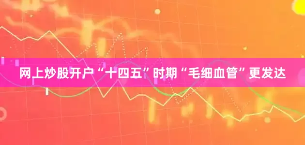 网上炒股开户“十四五”时期“毛细血管”更发达