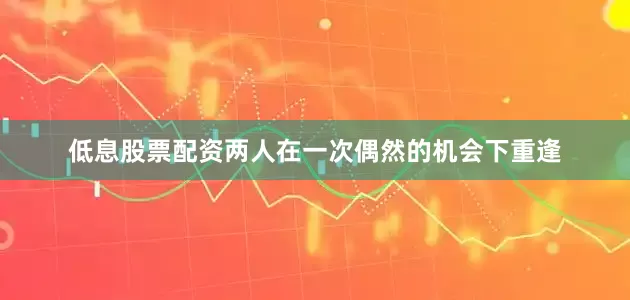 低息股票配资两人在一次偶然的机会下重逢