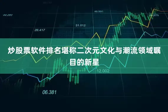 炒股票软件排名堪称二次元文化与潮流领域瞩目的新星